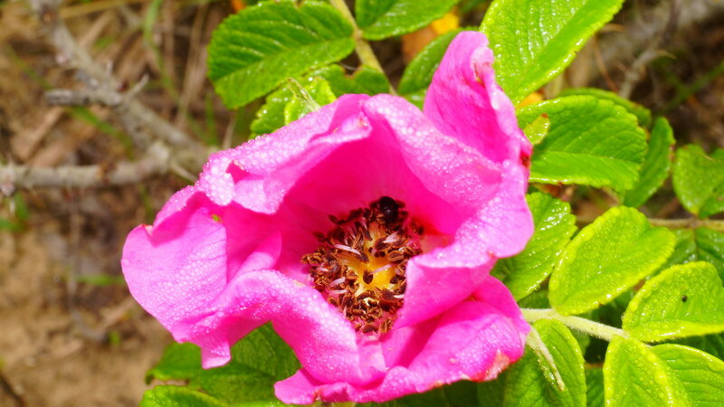 0_1d30ac_a166d69a_XL.jpg