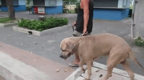 9dd65cd776e15a37855ea4f366fc8907.gif
