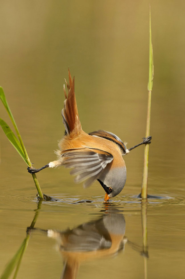 0_f12d3_89222007_orig.jpg