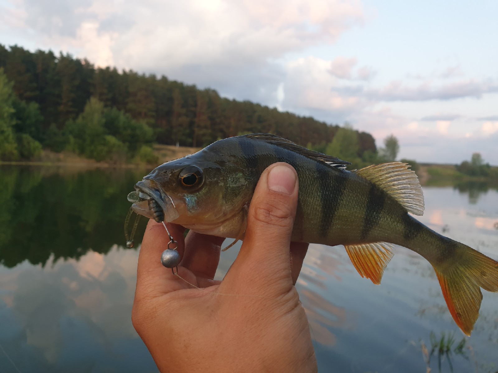 ABC-FISHING: от блесны до спиннинга! | Страница 4 | Амурский Берег -  территория, свободная для творчества