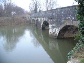 carpcol402.jpg