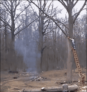 c9b0e5468ac38991c3749c6d73e5f8bc.gif