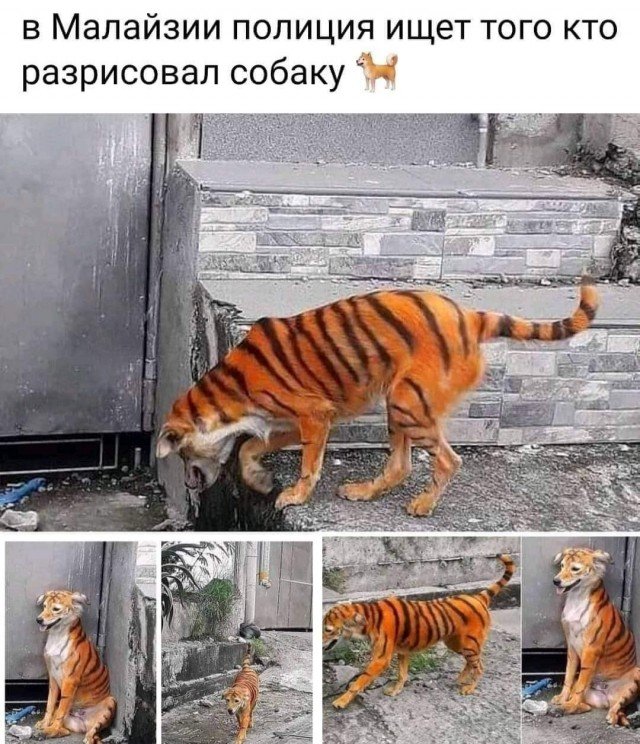 HufsNPwYyW.jpg