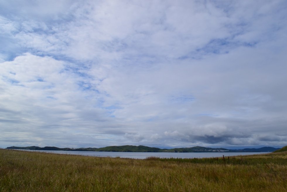 114420_59657.jpg