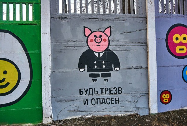 11464308.jpg
