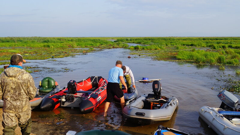 0_1d5231_50825fc0_XL.jpg