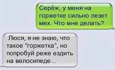 9199230.jpg