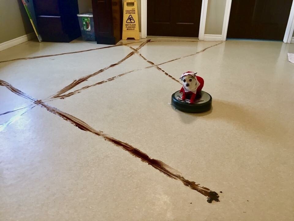 s1200