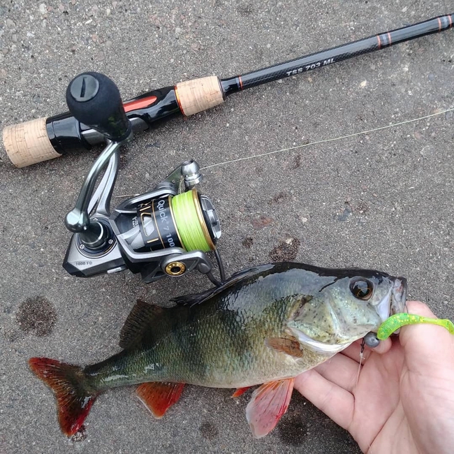 sakura_slit_shad_dam_quick_7.jpg