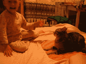 d1680d1eb3e6fb05538dfaff4d7912b4.gif