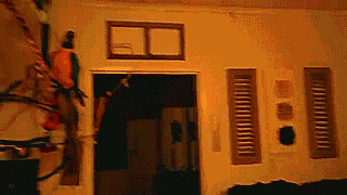 file2047.gif