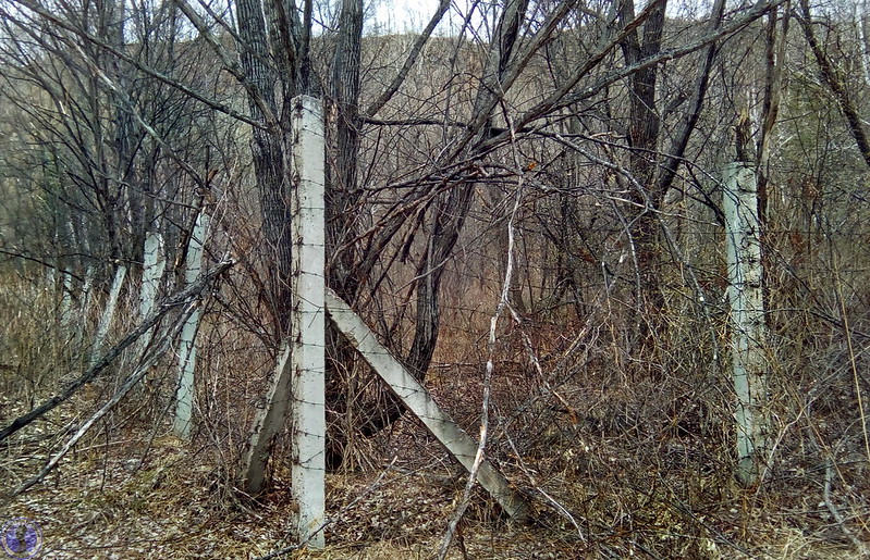 41272631494_2661f9af20_c.jpg