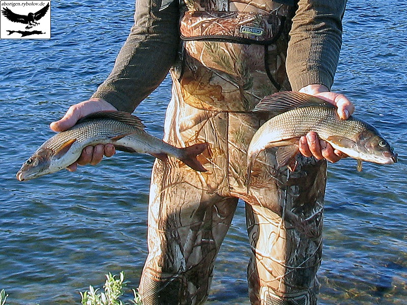 schweden2013_005.jpg