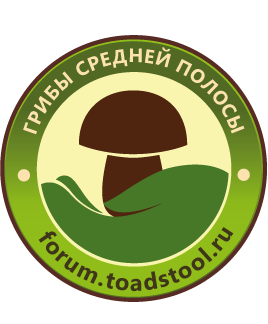 forum.toadstool.ru