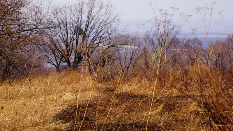 0_1c079b_e7e54325_XL.jpg